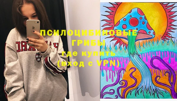 меф Белокуриха
