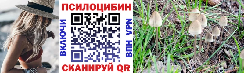Псилоцибиновые грибы мухоморы  blacksprut зеркало  Очёр 