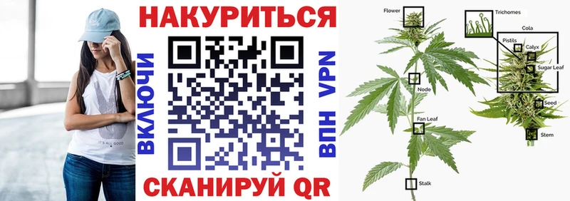 Бошки Шишки VHQ купить наркотик ссылка на мегу сайт Очёр